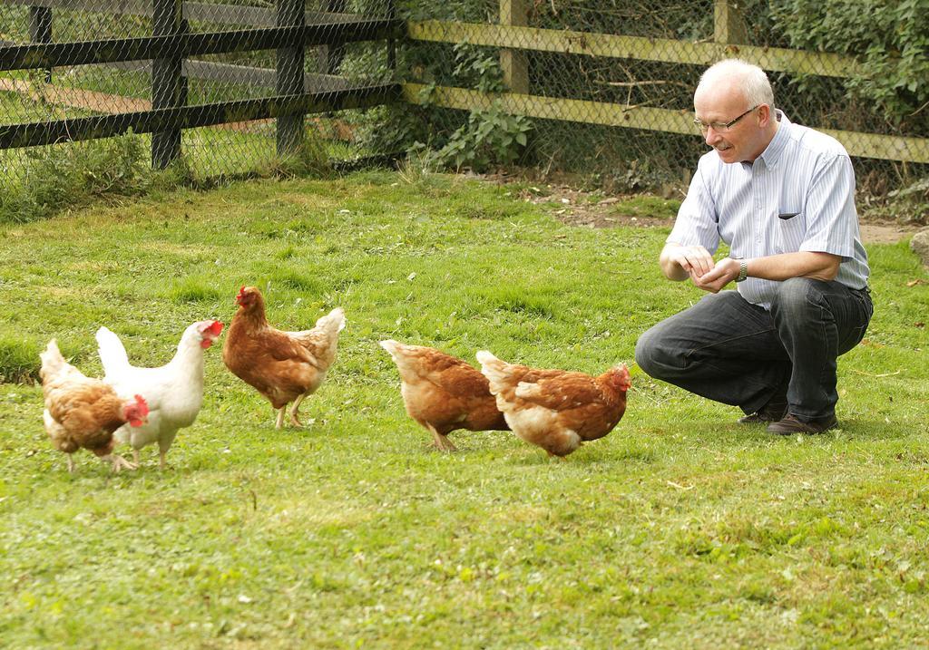 Orchard Grove Bed & Breakfast R21Rc58 Bagenalstown Bagian luar foto