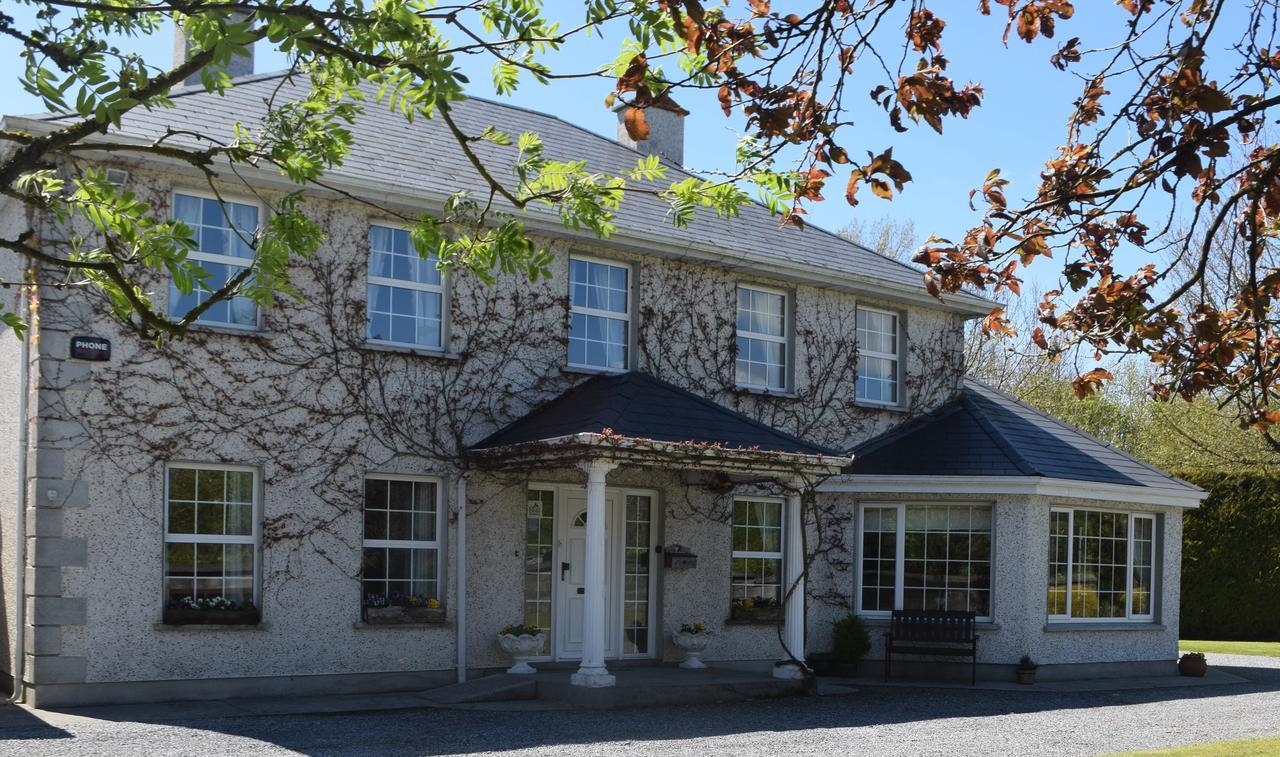 Orchard Grove Bed & Breakfast R21Rc58 Bagenalstown Bagian luar foto