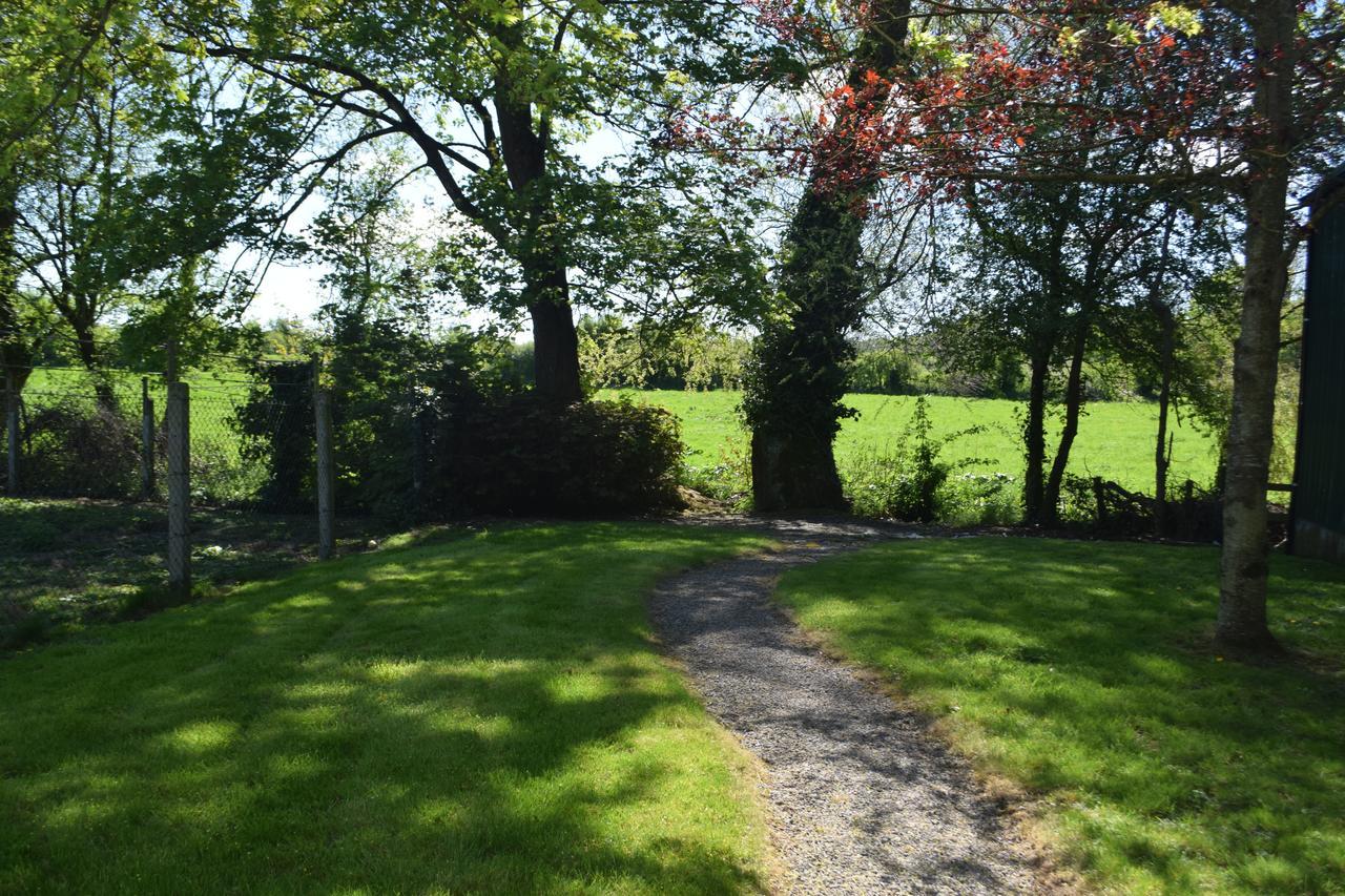 Orchard Grove Bed & Breakfast R21Rc58 Bagenalstown Bagian luar foto