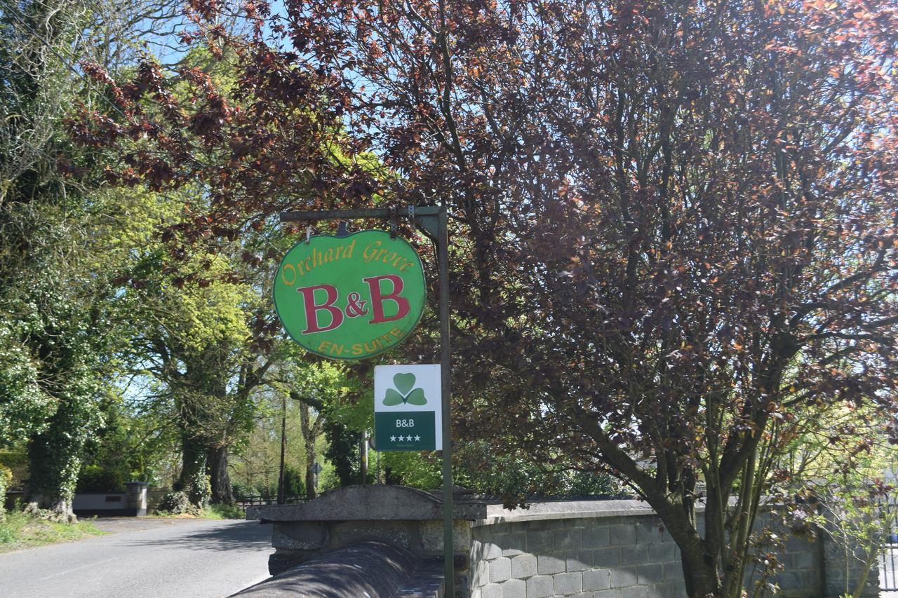 Orchard Grove Bed & Breakfast R21Rc58 Bagenalstown Bagian luar foto